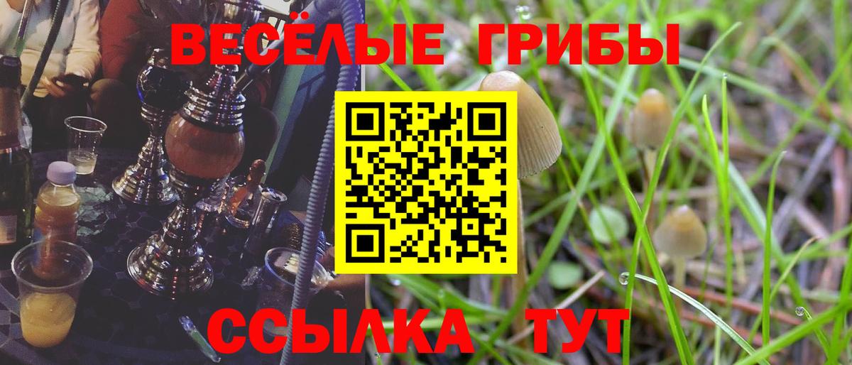 Псилоцибиновые грибы Magic Shrooms  Вход с VPN  Россошь  Галлюциногенные грибы мухоморы 