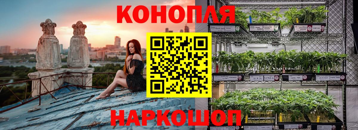 Россошь  Шишки марихуана конопля  Вход с VPN  Каннабис OG Kush  Марихуана VHQ 